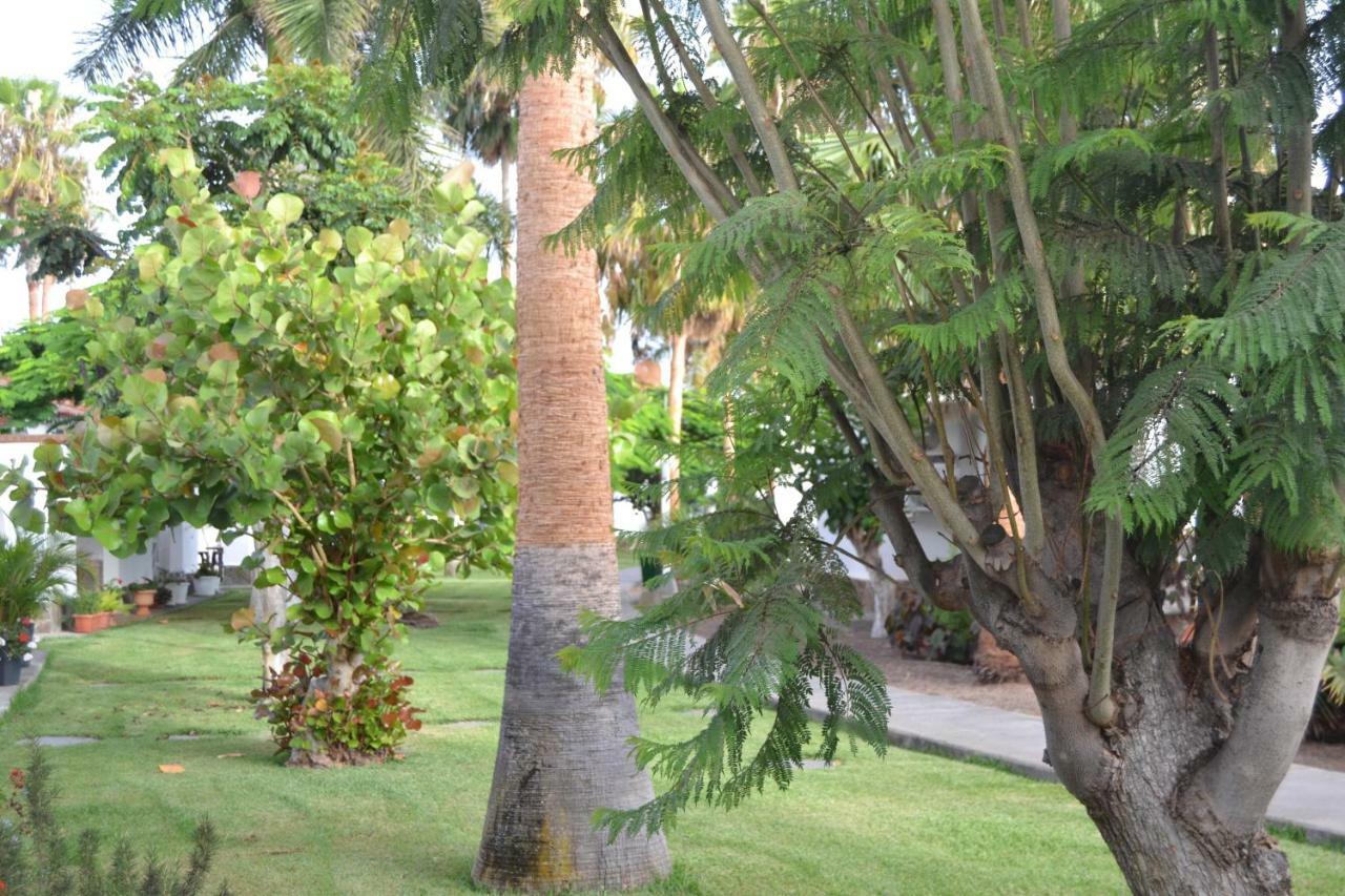 Maspalomas Experience Holiday House Eksteriør bilde